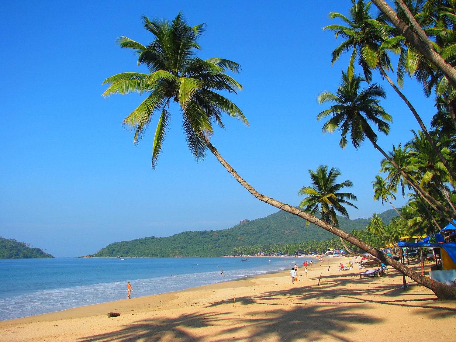 Plan Trip With Force Urbania pune to Goa trip